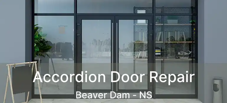  Accordion Door Repair Beaver Dam - NS