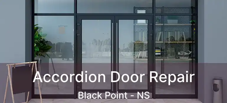  Accordion Door Repair Black Point - NS