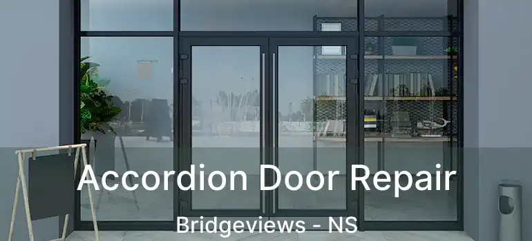  Accordion Door Repair Bridgeviews - NS