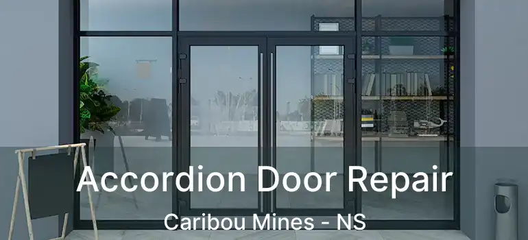  Accordion Door Repair Caribou Mines - NS