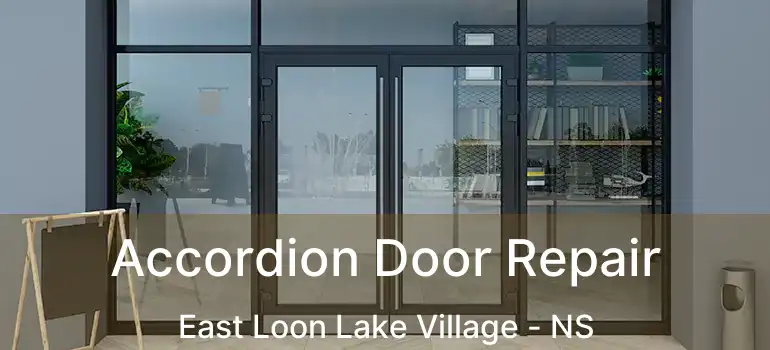  Accordion Door Repair East Loon Lake Village - NS