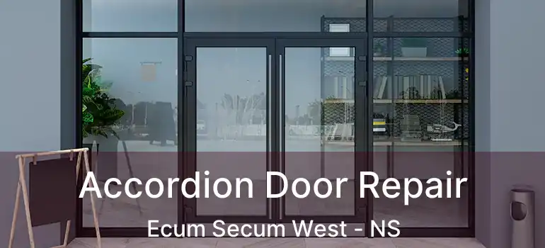  Accordion Door Repair Ecum Secum West - NS