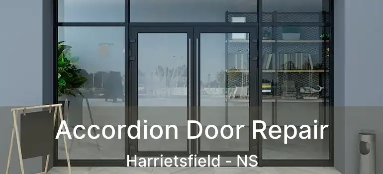  Accordion Door Repair Harrietsfield - NS