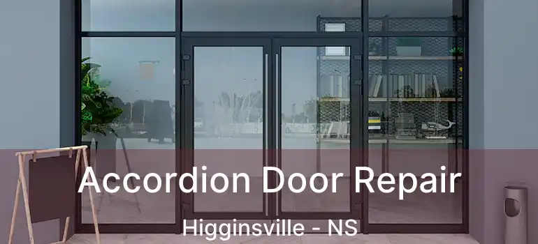  Accordion Door Repair Higginsville - NS