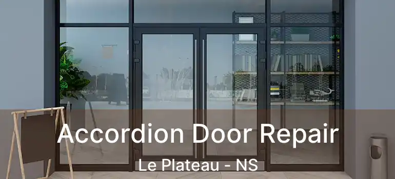  Accordion Door Repair Le Plateau - NS