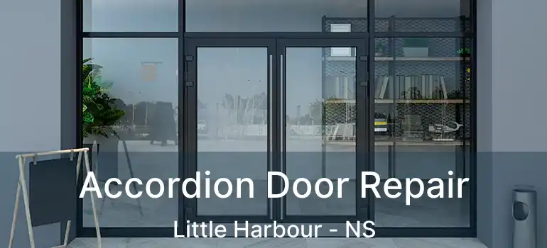  Accordion Door Repair Little Harbour - NS