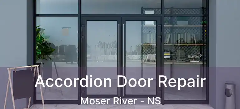  Accordion Door Repair Moser River - NS