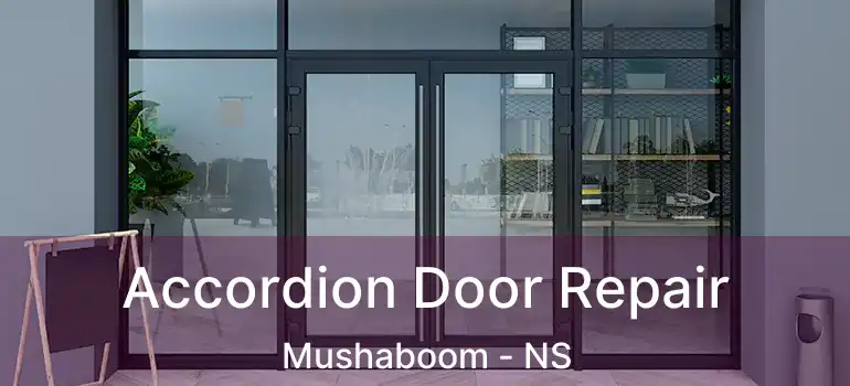  Accordion Door Repair Mushaboom - NS