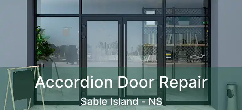  Accordion Door Repair Sable Island - NS