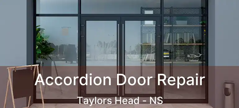  Accordion Door Repair Taylors Head - NS