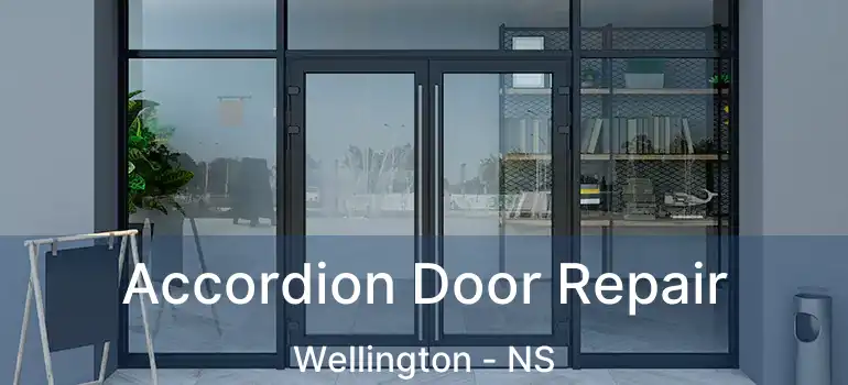  Accordion Door Repair Wellington - NS