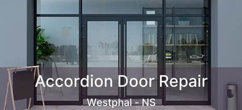  Accordion Door Repair Westphal - NS