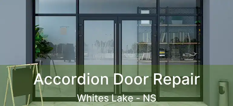  Accordion Door Repair Whites Lake - NS