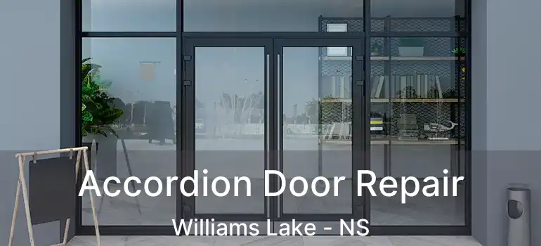  Accordion Door Repair Williams Lake - NS