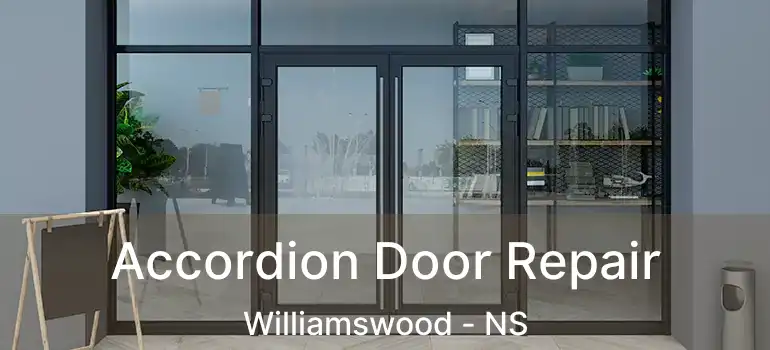  Accordion Door Repair Williamswood - NS