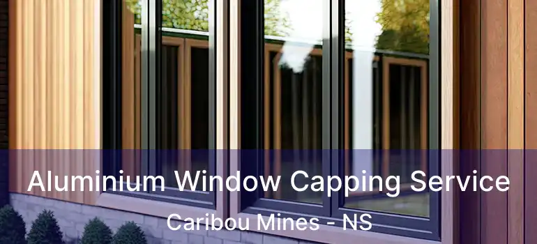  Aluminium Window Capping Service Caribou Mines - NS