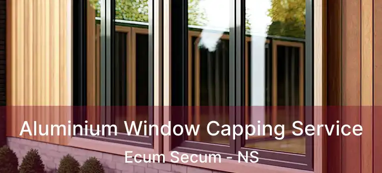  Aluminium Window Capping Service Ecum Secum - NS