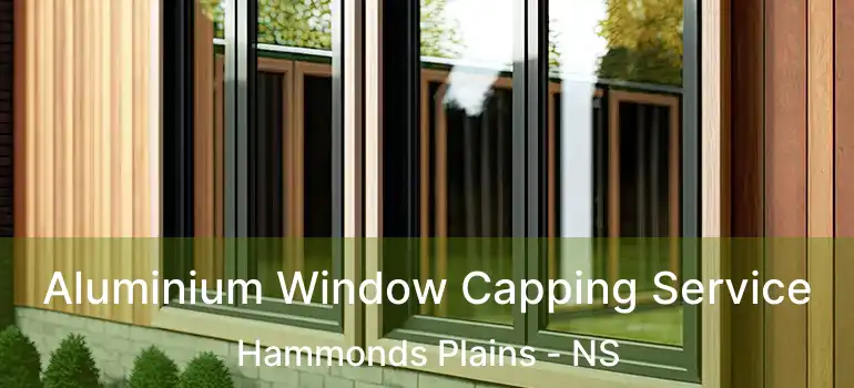  Aluminium Window Capping Service Hammonds Plains - NS