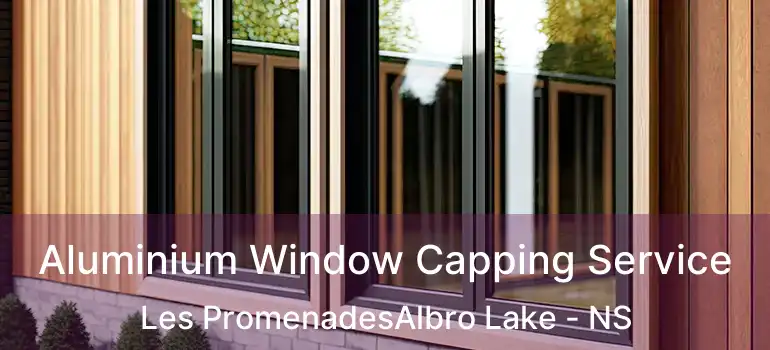  Aluminium Window Capping Service Les PromenadesAlbro Lake - NS