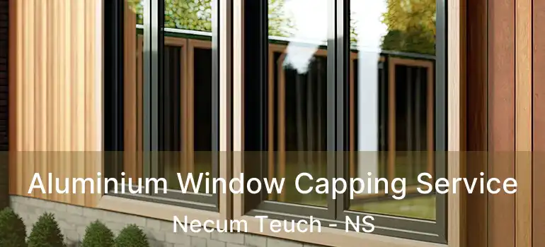  Aluminium Window Capping Service Necum Teuch - NS