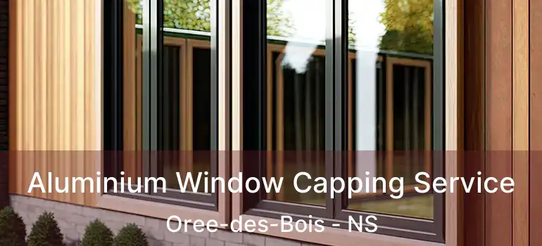  Aluminium Window Capping Service Oree-des-Bois - NS