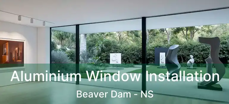  Aluminium Window Installation Beaver Dam - NS