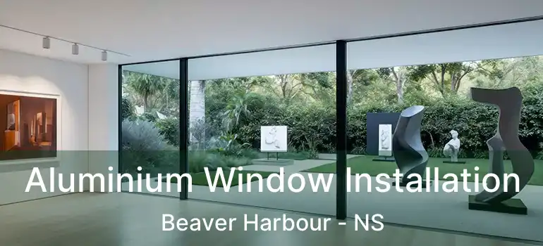  Aluminium Window Installation Beaver Harbour - NS