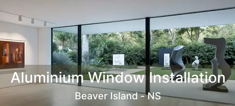  Aluminium Window Installation Beaver Island - NS