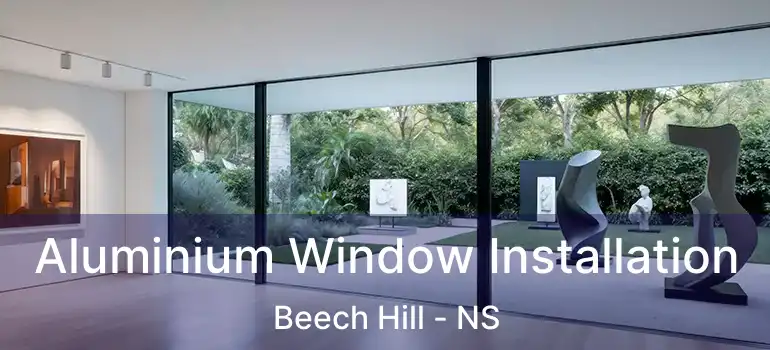  Aluminium Window Installation Beech Hill - NS