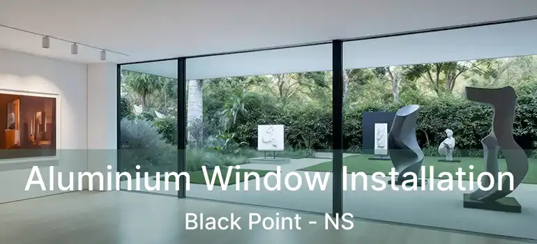  Aluminium Window Installation Black Point - NS