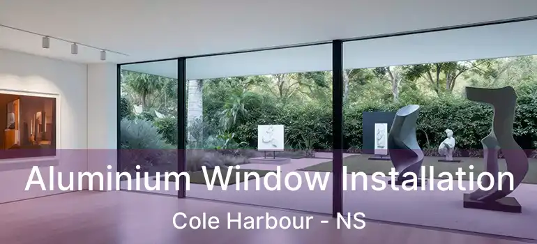  Aluminium Window Installation Cole Harbour - NS