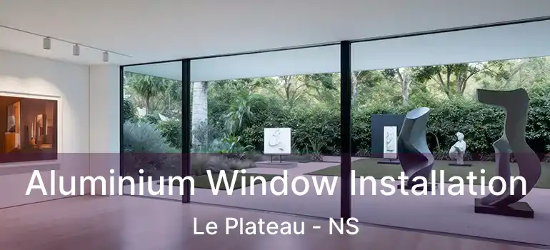  Aluminium Window Installation Le Plateau - NS