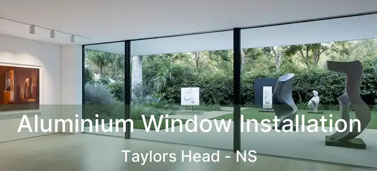  Aluminium Window Installation Taylors Head - NS