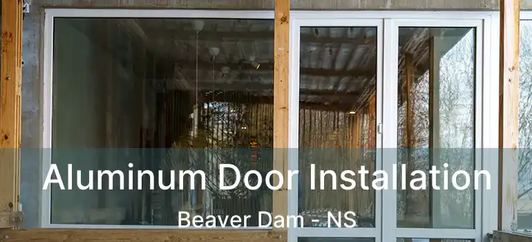  Aluminum Door Installation Beaver Dam - NS