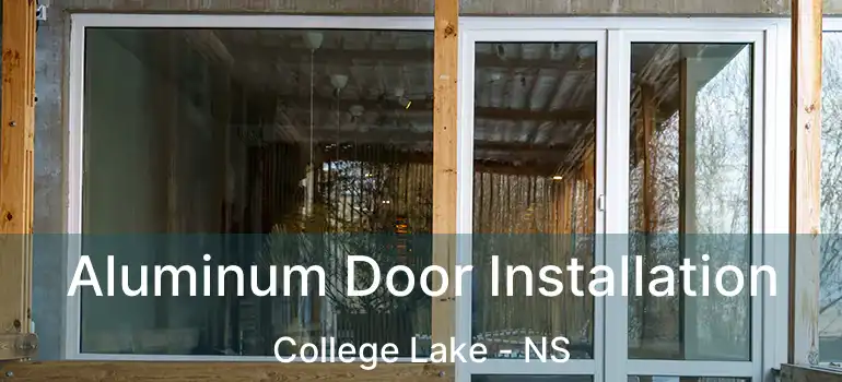  Aluminum Door Installation College Lake - NS