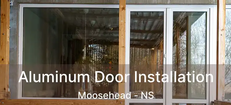  Aluminum Door Installation Moosehead - NS