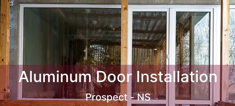  Aluminum Door Installation Prospect - NS