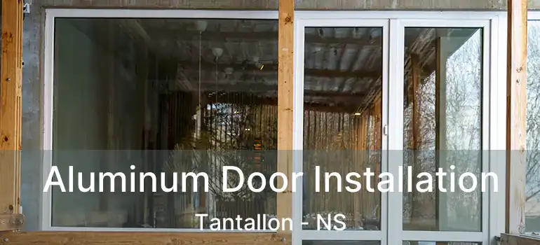  Aluminum Door Installation Tantallon - NS