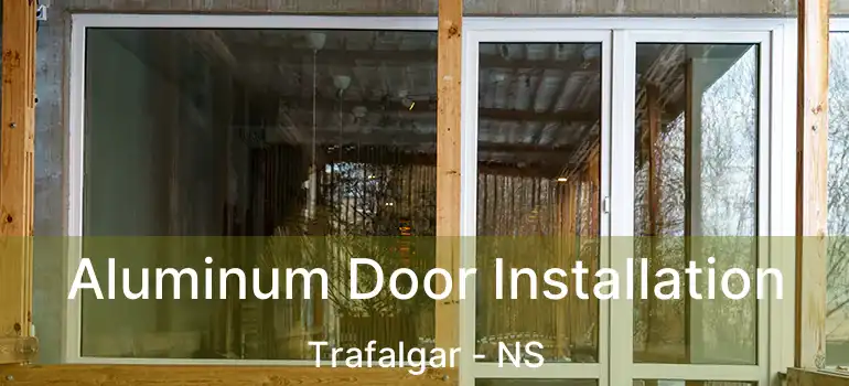  Aluminum Door Installation Trafalgar - NS