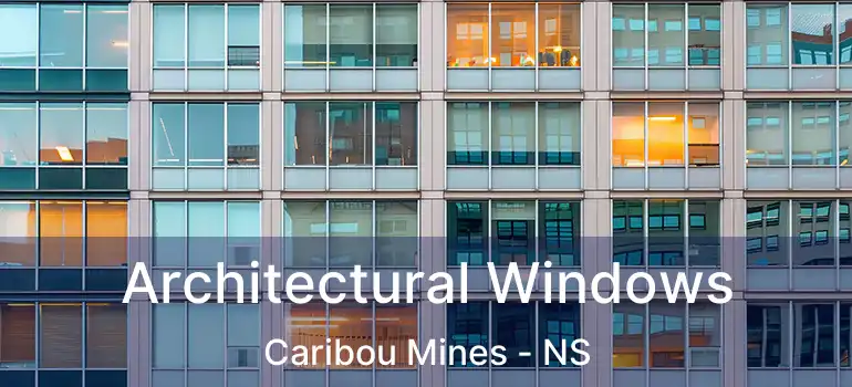  Architectural Windows Caribou Mines - NS