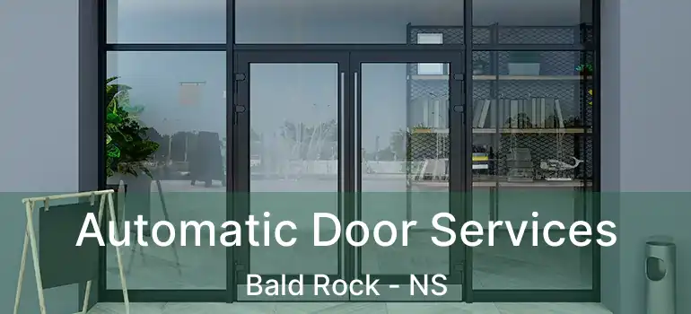  Automatic Door Services Bald Rock - NS