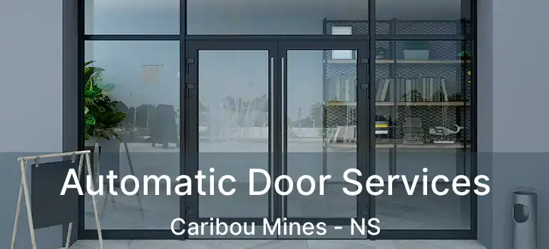  Automatic Door Services Caribou Mines - NS