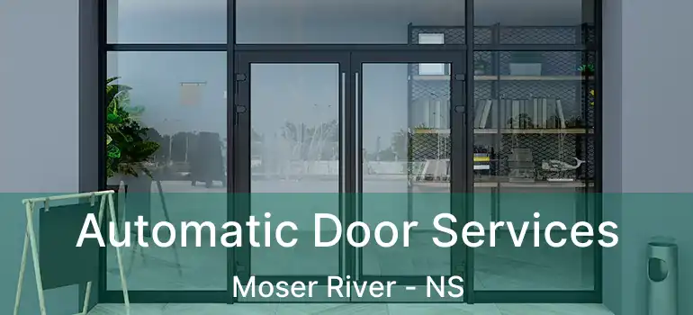  Automatic Door Services Moser River - NS