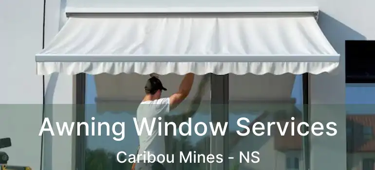  Awning Window Services Caribou Mines - NS