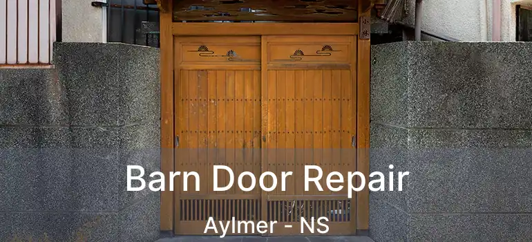  Barn Door Repair Aylmer - NS