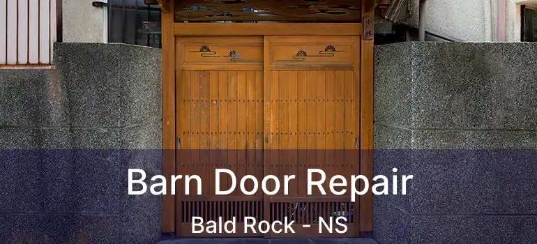  Barn Door Repair Bald Rock - NS