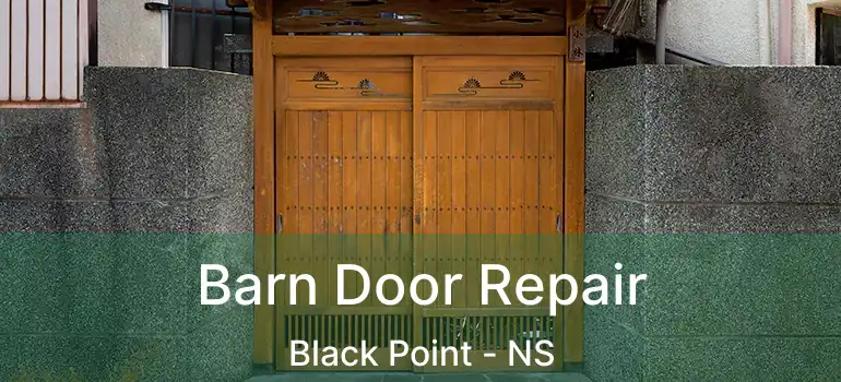  Barn Door Repair Black Point - NS