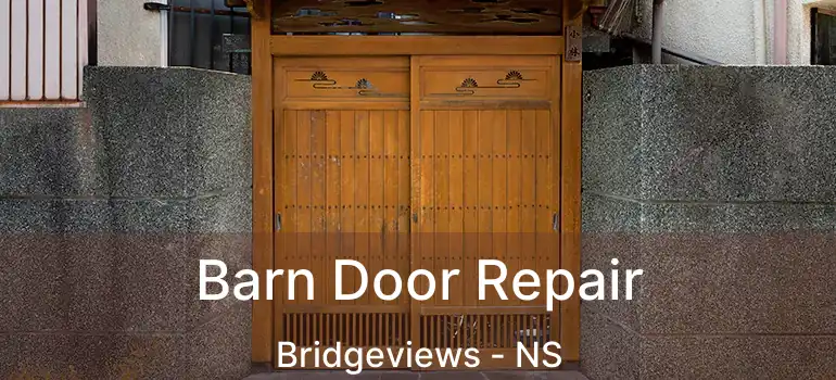  Barn Door Repair Bridgeviews - NS