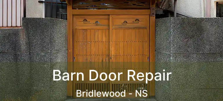  Barn Door Repair Bridlewood - NS