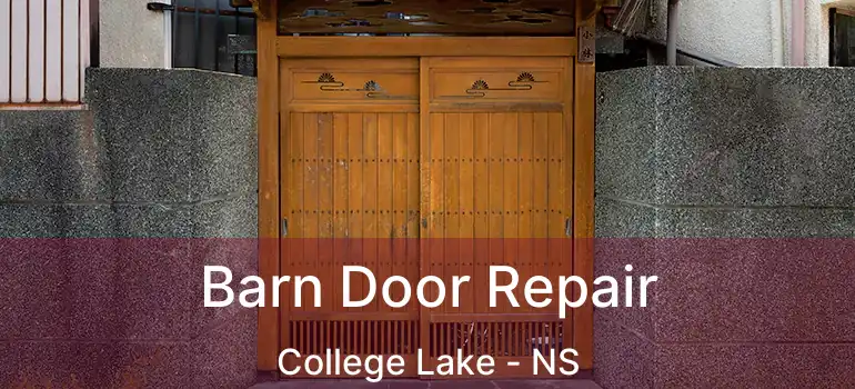  Barn Door Repair College Lake - NS